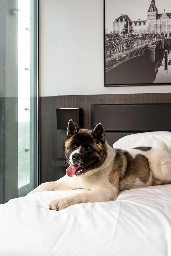 ****  Radisson Hotel & Suites Amsterdam South Amstelveen Netherlands